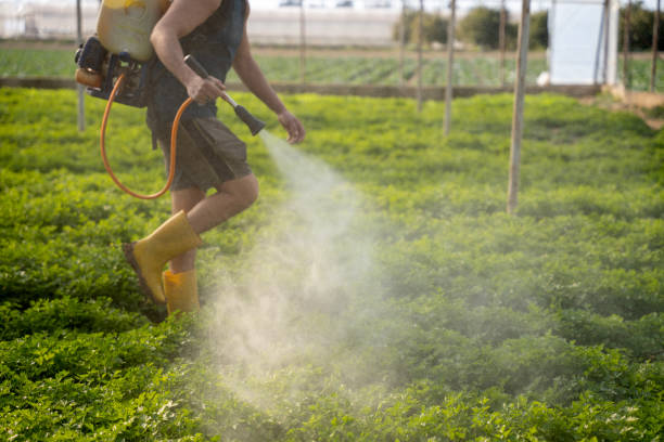 Best Mosquito Control Services  in Meridianville, AL