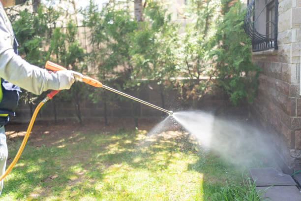 Best Rodent Control Near Me  in Meridianville, AL