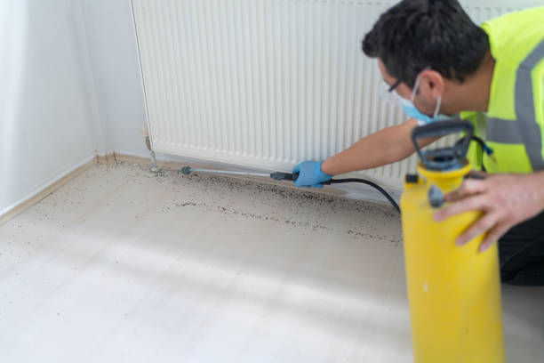 Best Flea Control Services  in Meridianville, AL